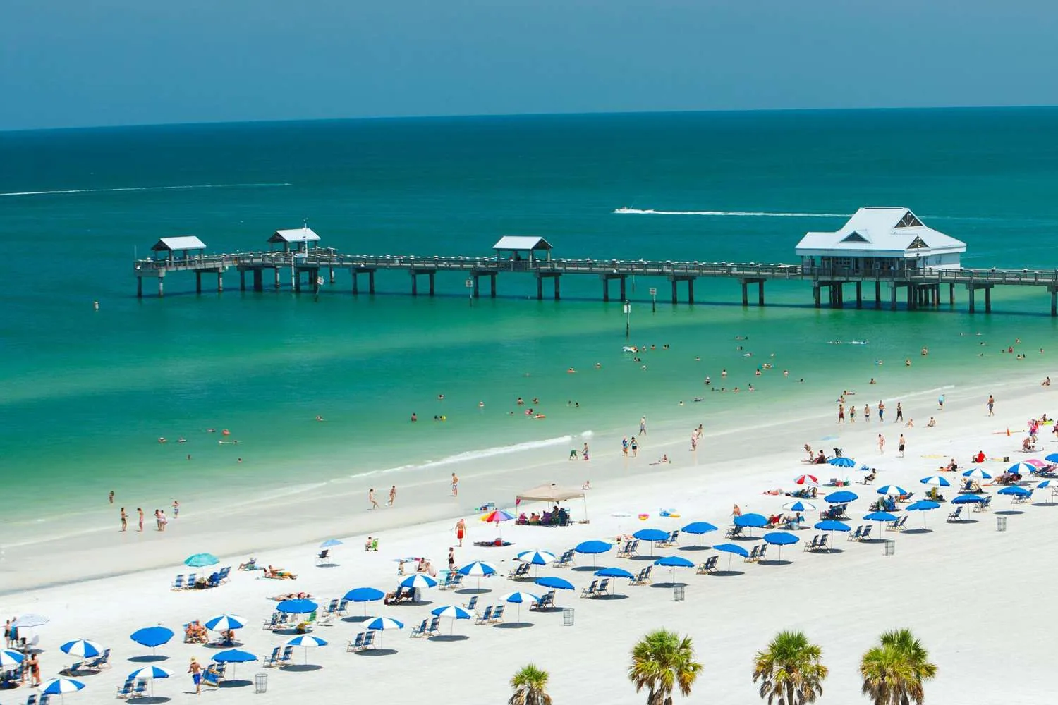 Commercial Roofing in Downtown Clearwater, FL