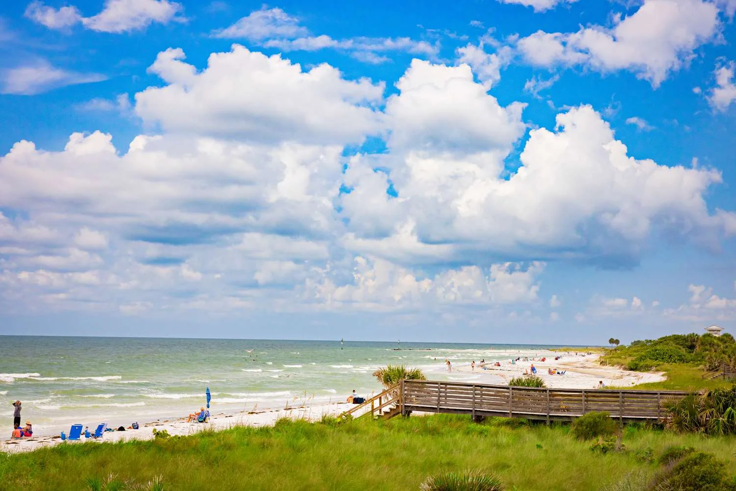 Commercial Roofing in Dunedin, FL