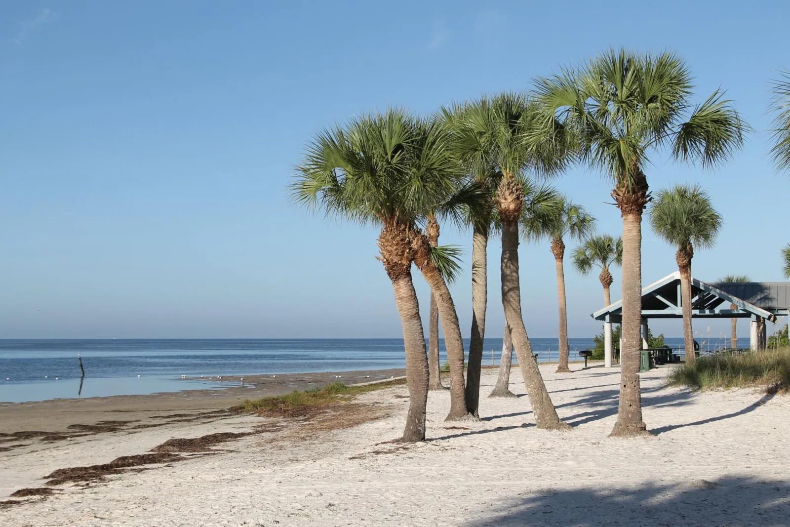 Commercial Roofing in New Port Richey, FL